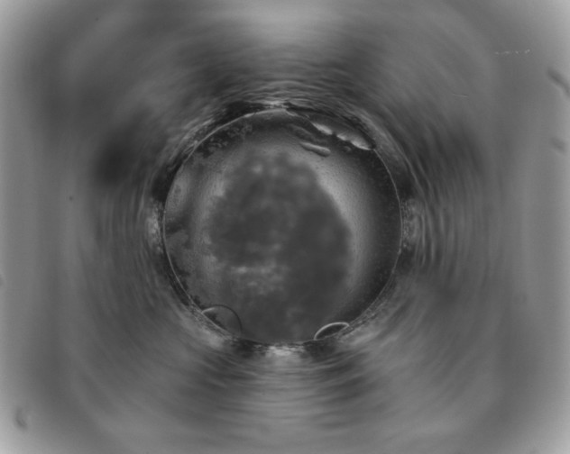 X0000091290573200708171348