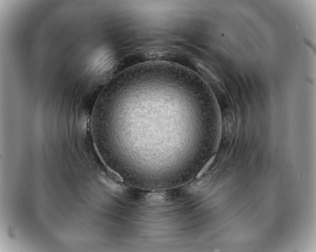 X0000091290574200708171348