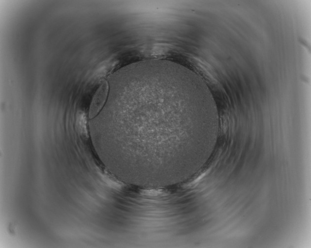 X0000091290575200708171348