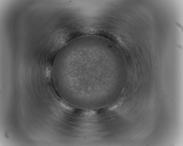 X0000091290576200708171348