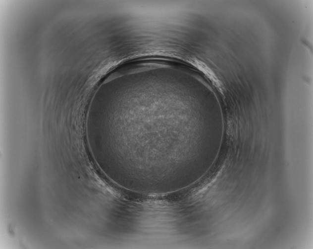 X0000091290577200708171347