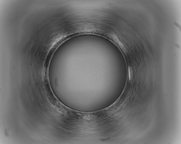 X0000091290579200708171347