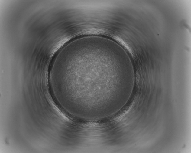 X0000091290581200708171347