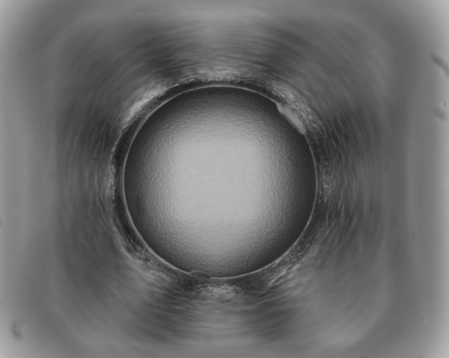 X0000091290583200708171347