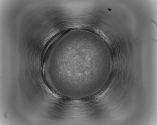 X0000091290585200708171347