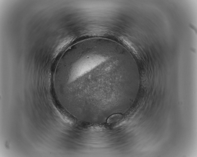 X0000091290586200708171347