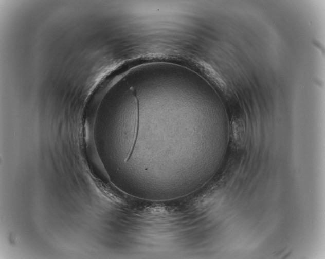 X0000091290588200708171347