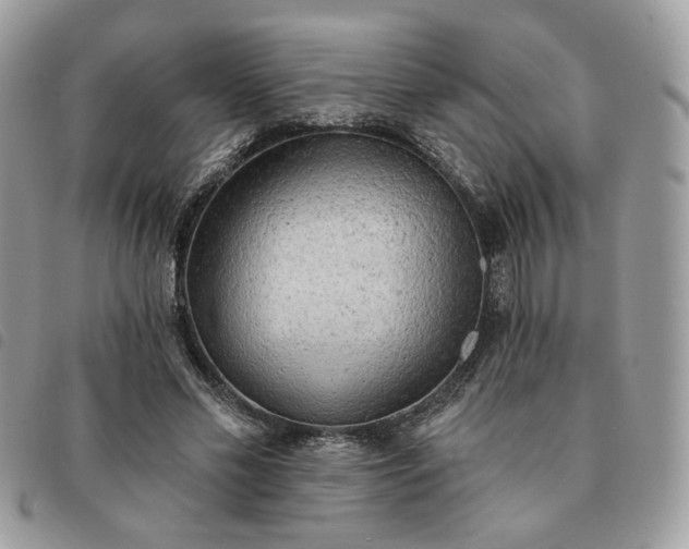 X0000091290589200708171347