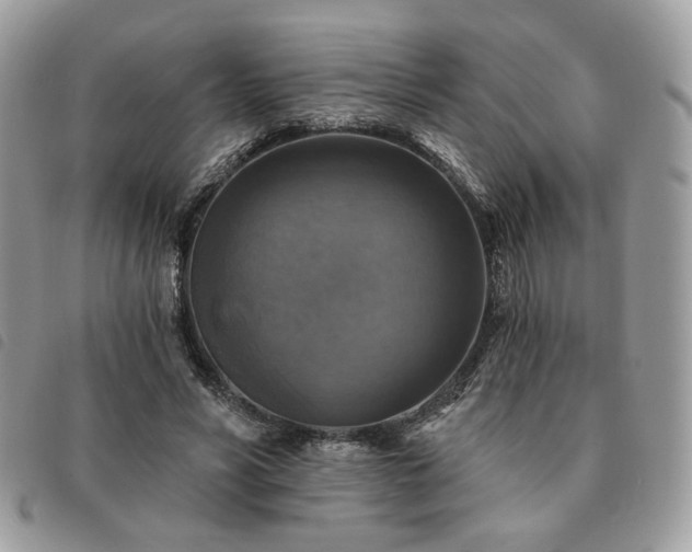 X0000091290590200708171347