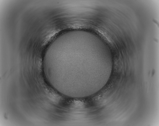 X0000091290592200708171347