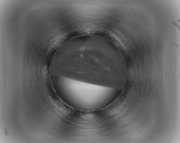 X0000091290594200708171347