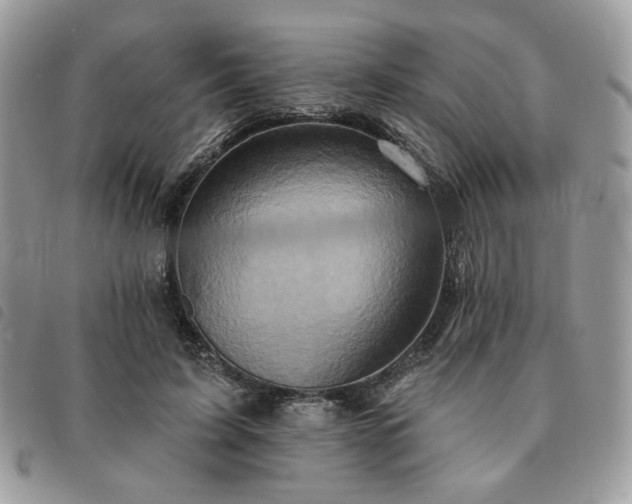 X0000091290595200708171347