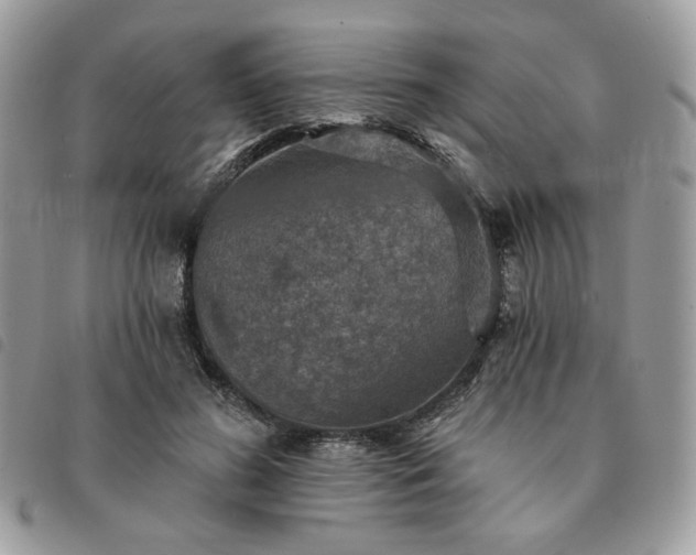 X0000091290596200708171347