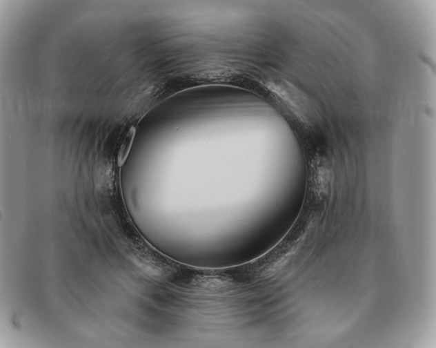 X0000091290597200708171347