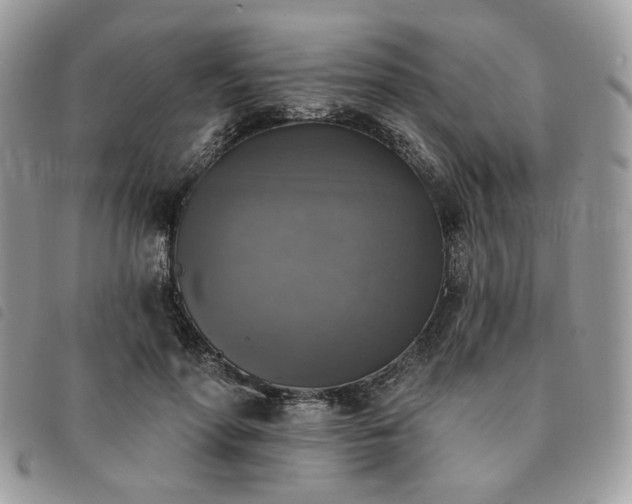 X0000091290598200708171347