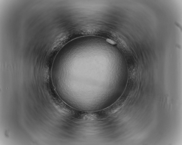 X0000091290599200708171347