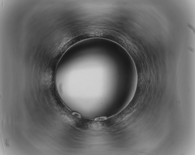 X0000091290600200708171347