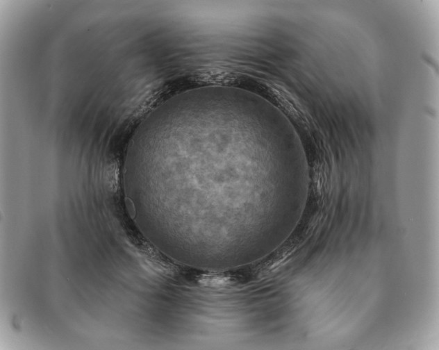 X0000091290602200708171347