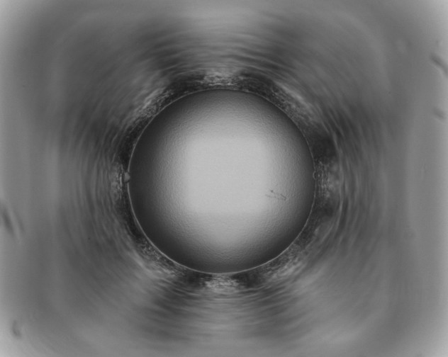 X0000091290603200708171347