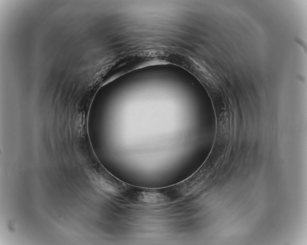 X0000091290605200708171347