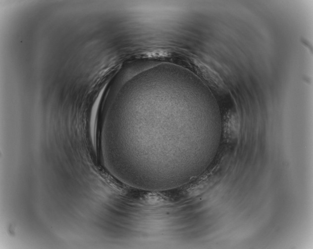 X0000091290608200708171347