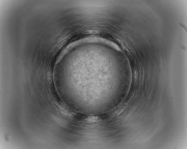 X0000091290609200708171347