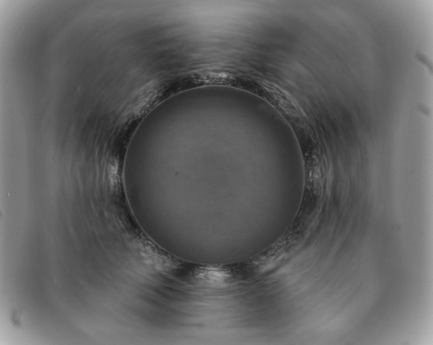 X0000091290610200708171347