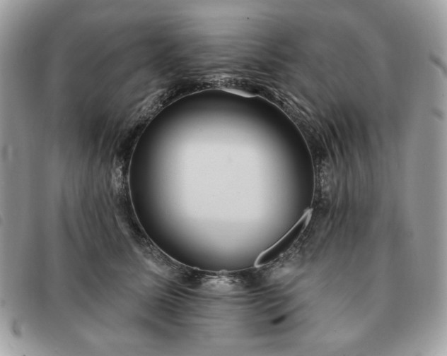 X0000091290611200708171347