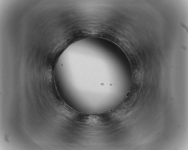 X0000091290612200708171347