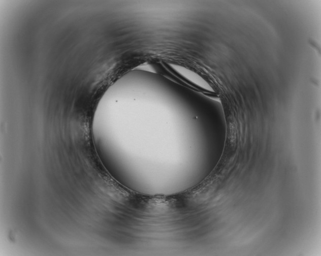 X0000091290613200708171347