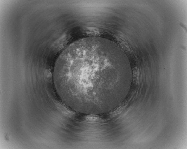 X0000091290614200708171347