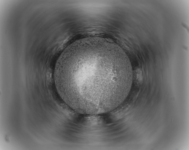 X0000091290615200708171347