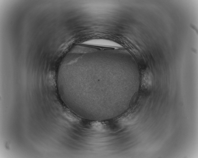 X0000091290616200708171347