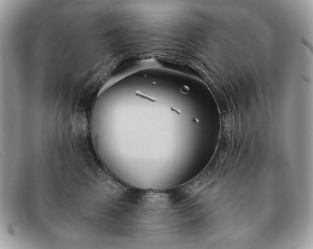 X0000091290617200708171347