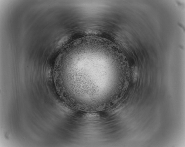 X0000091290619200708171347