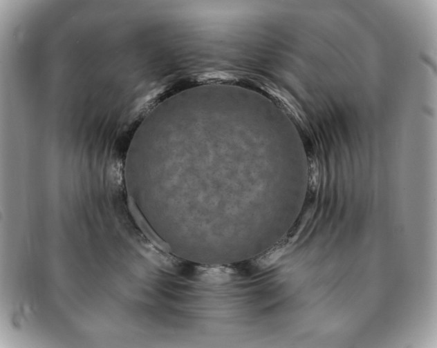 X0000091290621200708171347