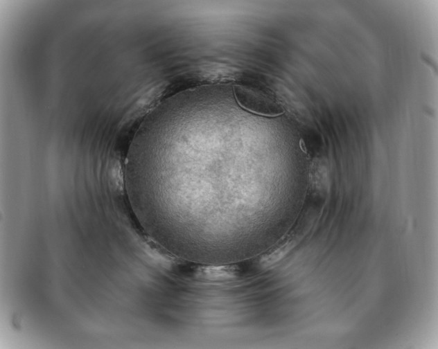 X0000091290622200708171347