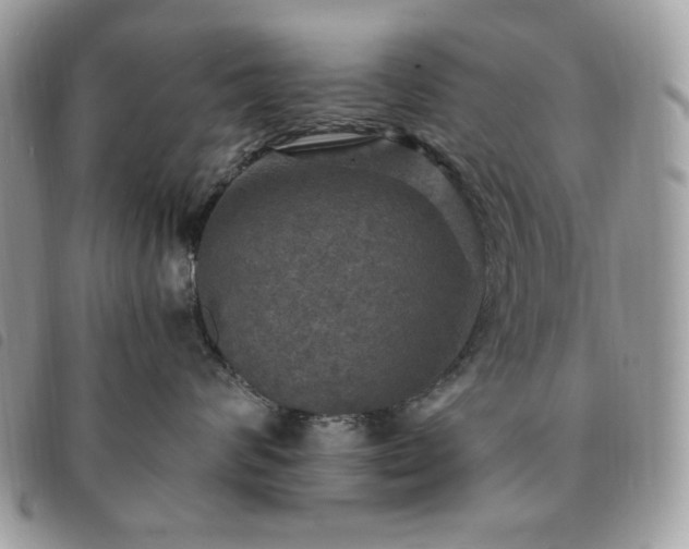 X0000091290624200708171347