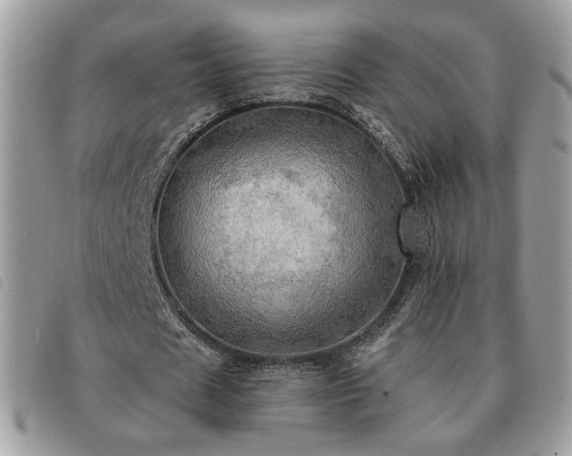 X0000091290625200708171346