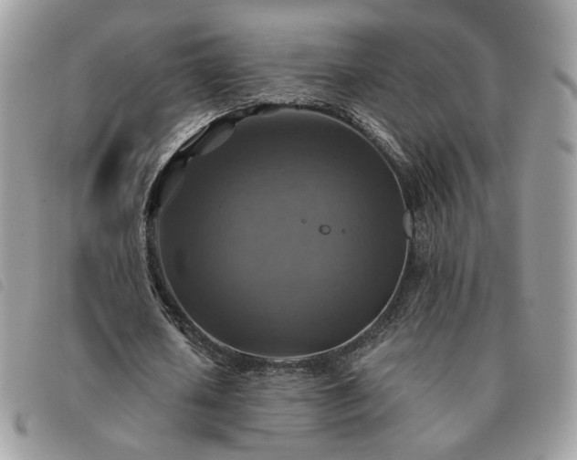 X0000091290626200708171346