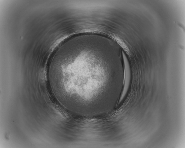 X0000091290628200708171346