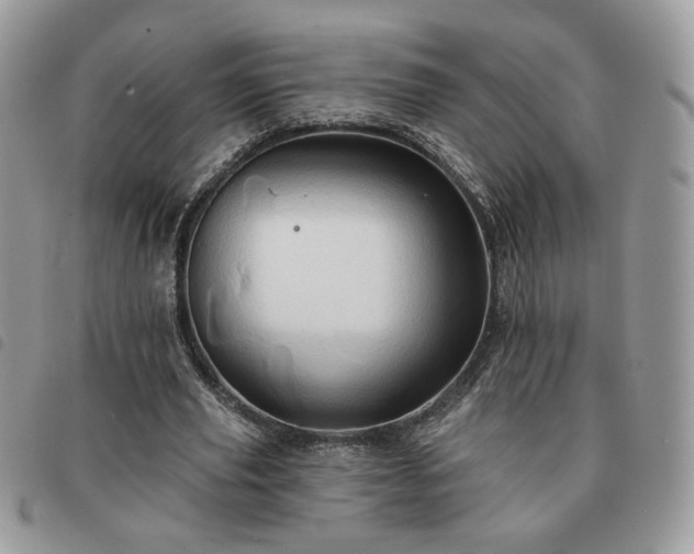 X0000091290629200708171346