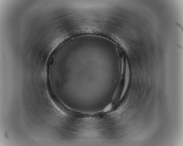 X0000091290630200708171346