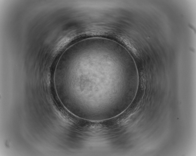 X0000091290631200708171346