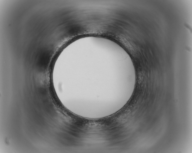 X0000091290632200708171346