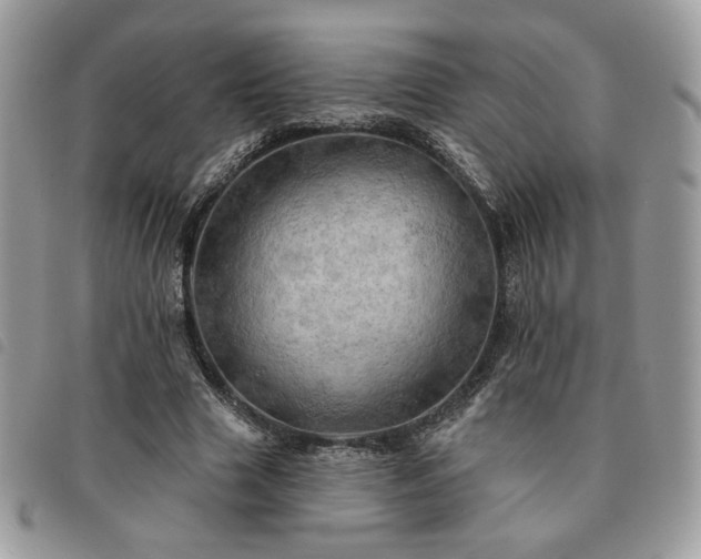 X0000091290633200708171346