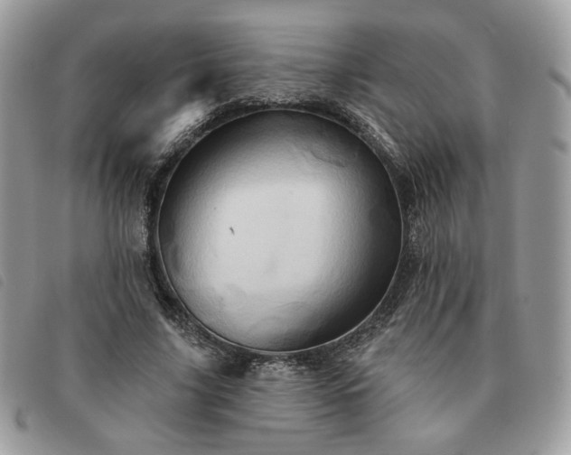 X0000091290635200708171346