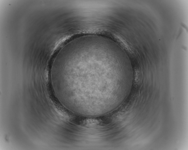 X0000091290636200708171346