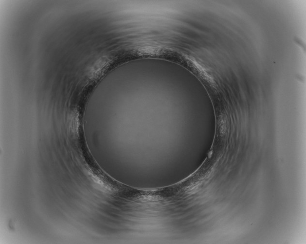 X0000091290637200708171346