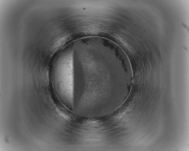 X0000091290638200708171346